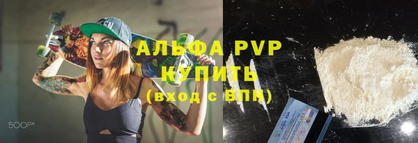 прущие грибы Белоозёрский