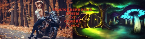 прущие грибы Белоозёрский