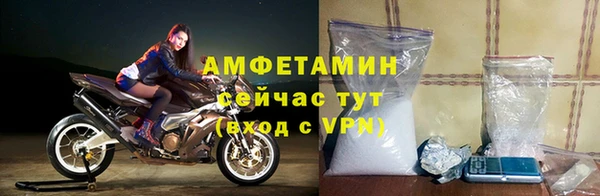 прущие грибы Белоозёрский