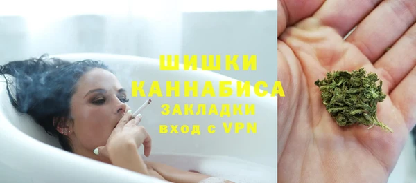 прущие грибы Белоозёрский