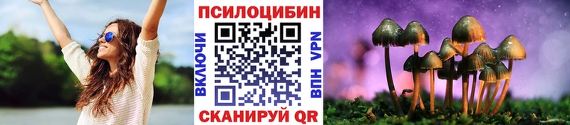 Галлюциногенные грибы ЛСД  mega tor  shop состав  Волосово 